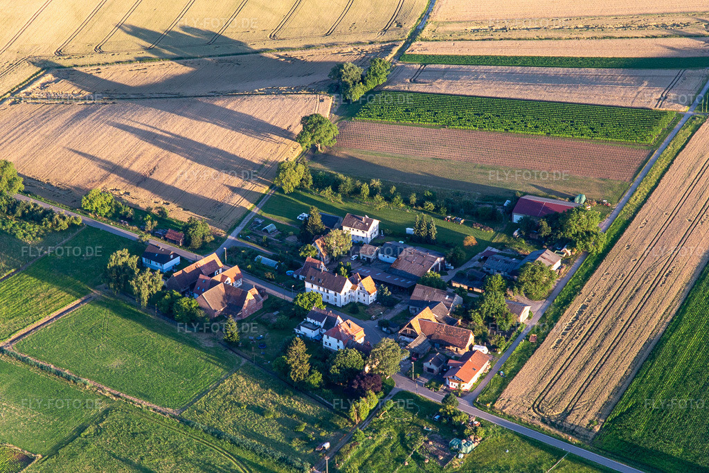 Luftbild: Ortsansicht von Norden im Ortsteil Deutschhof in Kapellen-Drusweiler im Bundesland Rheinland-Pfalz in Deutschland. Foto: IMG_142385.jpg vom 08.07.2024 durch Werner Riehm/FLY-FOTO.de