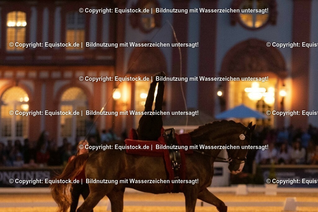 20230527_Voltigieren_NASPA_Flutlicht_0631 | equistock