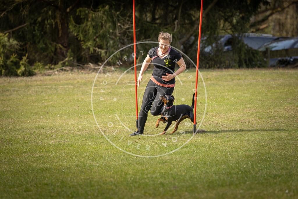 Pfotenfotografie_DV3A9924 | Hundefotografie, Tierfotograf, Pfotenfotografie, Fotoshooting Hund, Hunde Portrait, Hundesport, Hundeportraits, Heideshooting, Hunde, Sportfotograf, Hundefotograf, Turnierhundsport, THS,  - Realisiert mit Pictrs.com