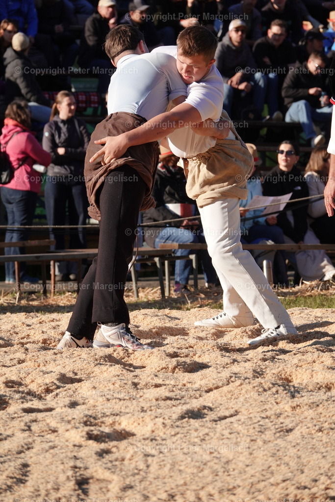 DSC02385 | Schwingen - Realisiert mit Pictrs.com