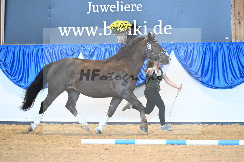 Kat-Nr. 82 Rebeca_Bauer_53220423 | hf-fotografie - Realisiert mit Pictrs.com