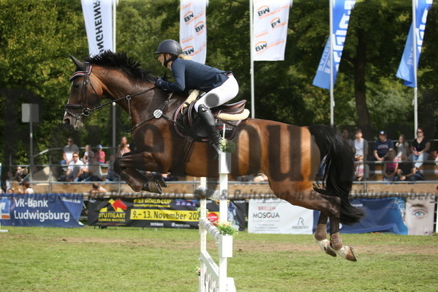 Bietigheim_2022_Prfg.Nr.06_Springen_Kl.S_Kerstin Annika Walker_HB Dalida (1) | Alle Fotos der Reiterjournal Fotografin Doris Matthaes im Reiterjournal Online-Fotoshop. - Realisiert mit Pictrs.com