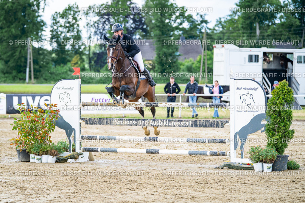 DSC04904 | Pferdegrafie