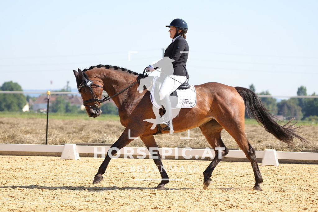 0P6A7503 | Willkommen bei Brunnmayr - Design & Fotografie – Ihrem Spezialisten für Reitturniere und Pferdeveranstaltungen in Oberösterreich, Salzburg und Bayern! Seit über 17 Jahren sind wir leidenschaftlich dabei.