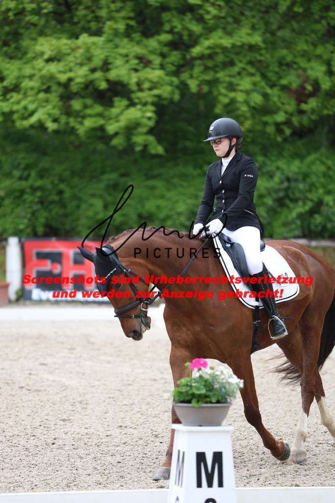 A40A8695 | lmwpictures - Realisiert mit Pictrs.com