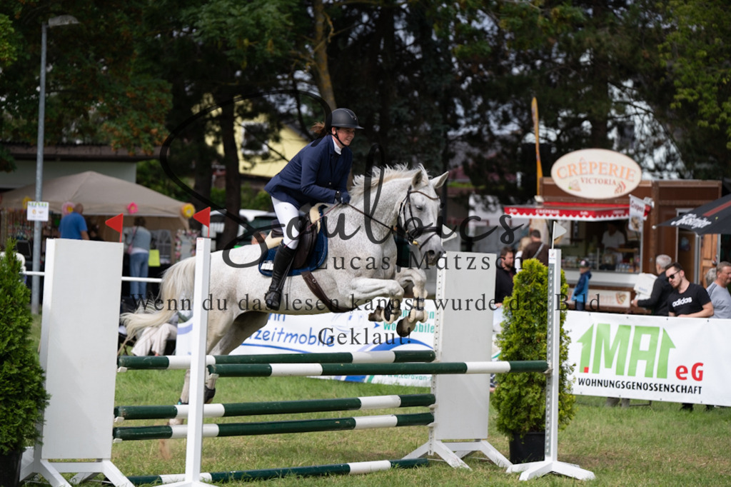 A7V05347 | Pferdefotograf