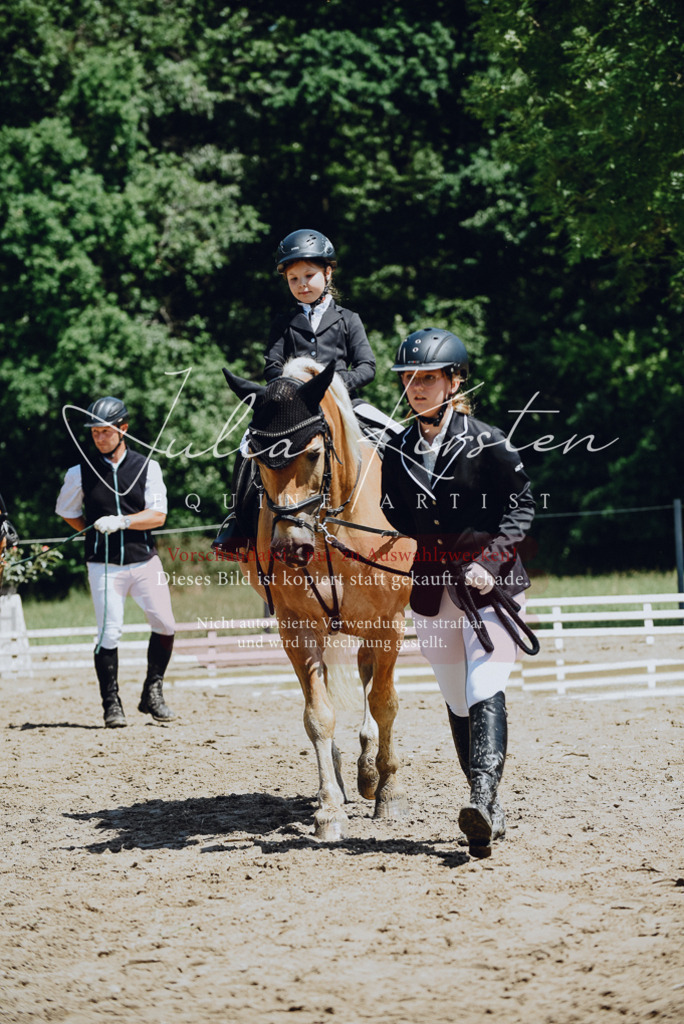 DSC_2578 | Pferde- und Turnierfotografie in Westsachsen. Pferdeportraits, Auftragszeichnungen und intuitive Kunst.