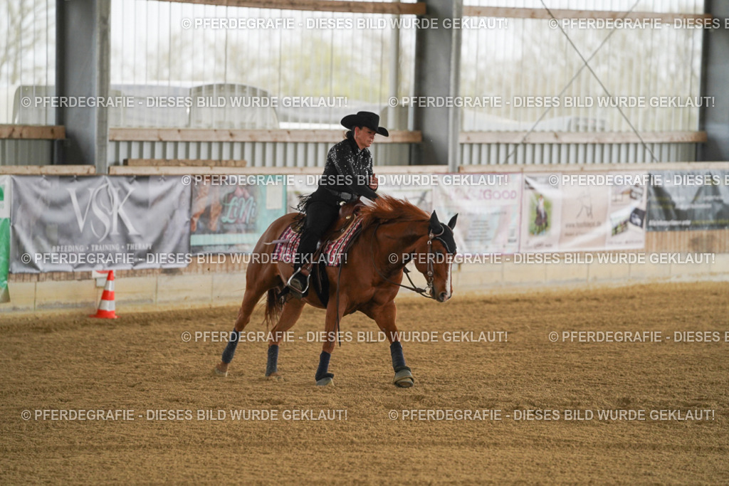 DSC06966 | Pferdegrafie