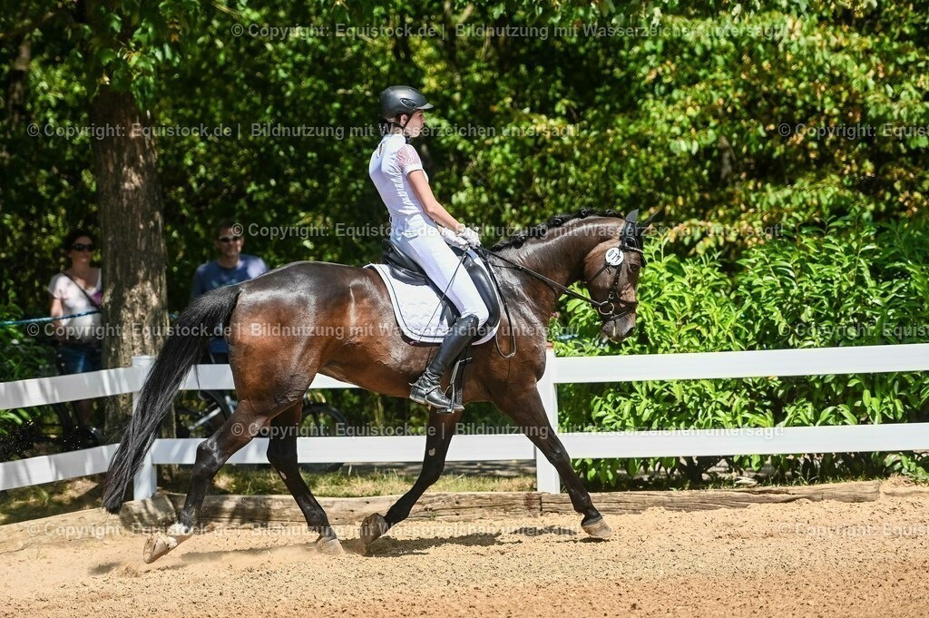 20230715_02_Dressurreiterprüfung Kl.L_0045 | equistock