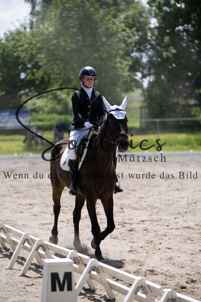 A7V02984 | Pferdefotograf