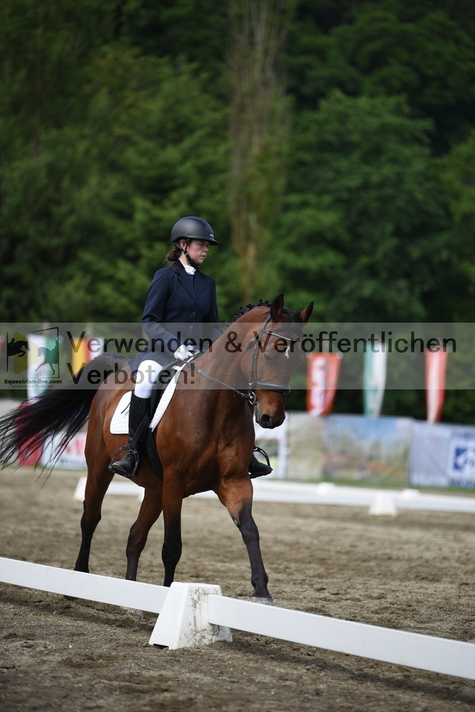DSC_8751 | equestrian-live-com