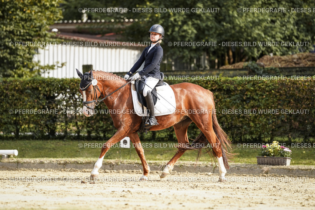 DSC05971 | Pferdegrafie