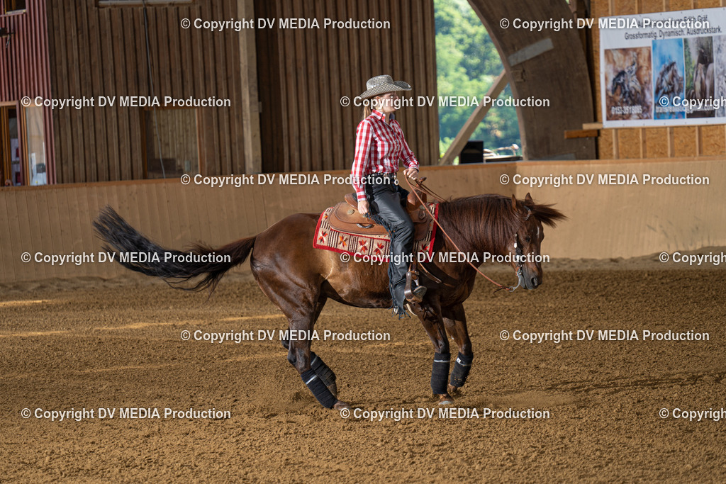 DSC00102 | dv-media-shop - Realisiert mit Pictrs.com