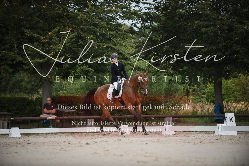 DSC_8011 | Pferde- und Turnierfotografie in Westsachsen. Pferdeportraits, Auftragszeichnungen und intuitive Kunst.