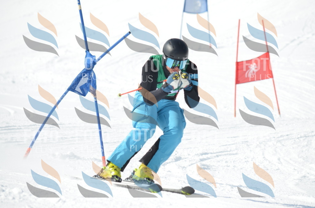 D9217 | holidayphoto