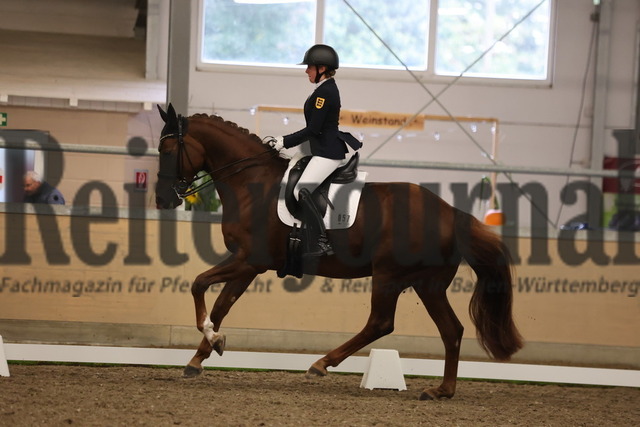 Waghäusel-Wiesental_2024_Prfg.Nr.08_1.WP_U25_Clara Kohoutek_Belinda FRH (7) | Alle Fotos der Reiterjournal Fotografin Doris Matthaes im Reiterjournal Online-Fotoshop. - Realisiert mit Pictrs.com