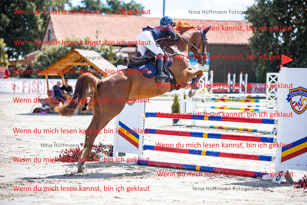BK1A5042 | Turnierbilder Turnierfotos Nina Hüffmann Turnierfotografie Pferdefotografie Tierzeichnung Haustierzeichnung Pferdezeichnung Hundezeichnung Videograf  - Realisiert mit Pictrs.com
