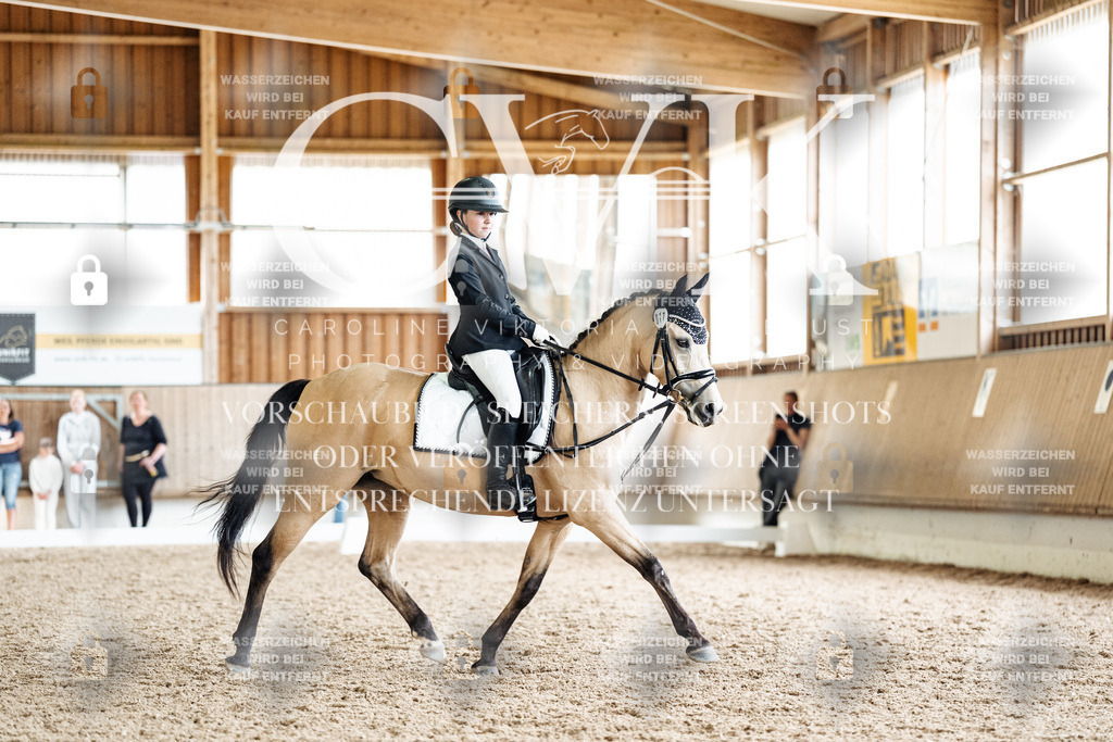 CK901520 | Turnierfotografie Pferdefotografie Trier Rheinland-Pfalz Pferdesport Reitsport Tierfotografie Sportfotografie Pferdevideo Pferdevideografie Equestrianvideography equestrianphotography  - Realisiert mit Pictrs.com