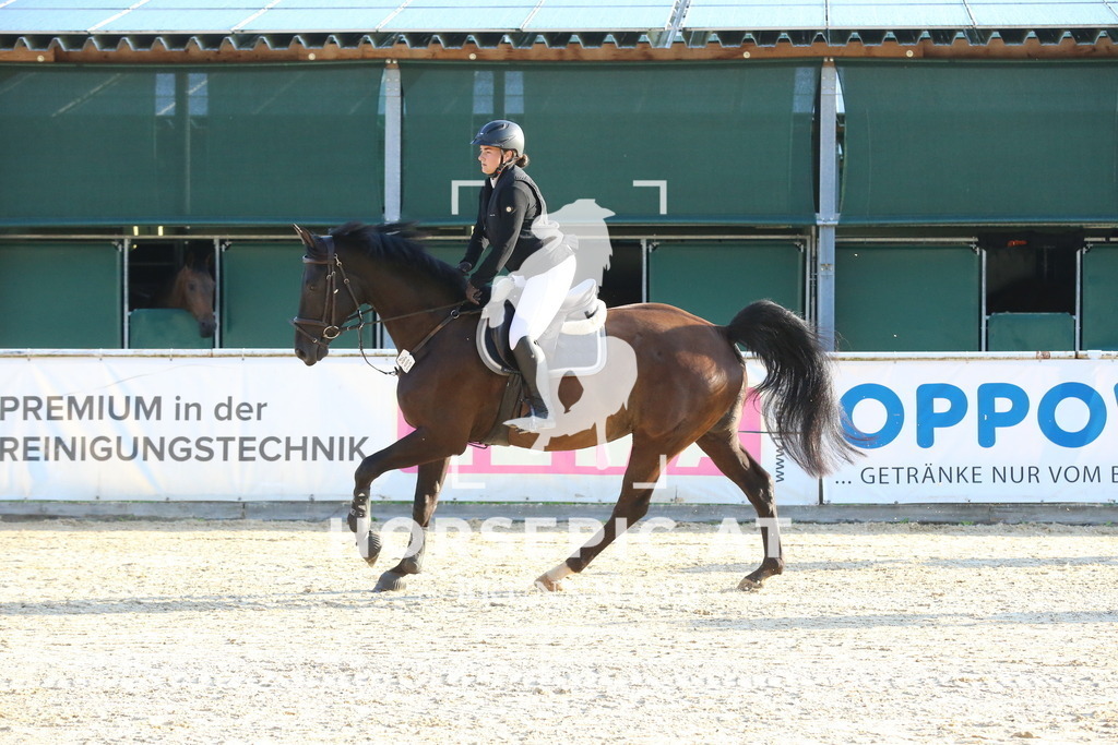 DL2Q4015 | Willkommen bei Brunnmayr - Design & Fotografie – Ihrem Spezialisten für Reitturniere und Pferdeveranstaltungen in Oberösterreich, Salzburg und Bayern! Seit über 17 Jahren sind wir leidenschaftlich dabei.