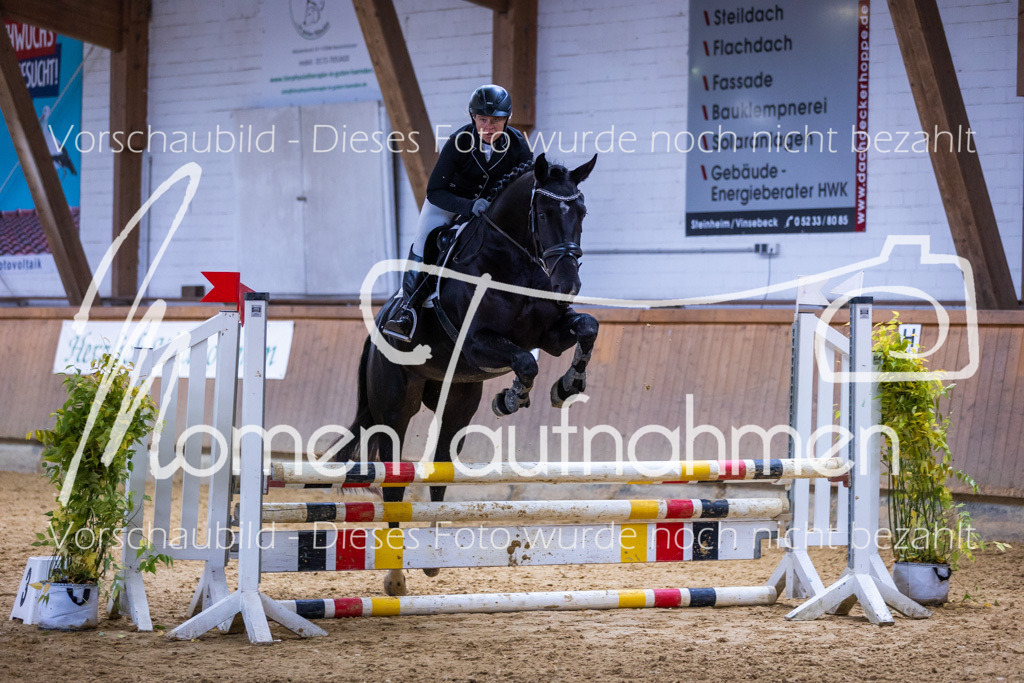 Sth-Gewöhnung-010 | MomenTaufnahmen Pferdesportfotos
