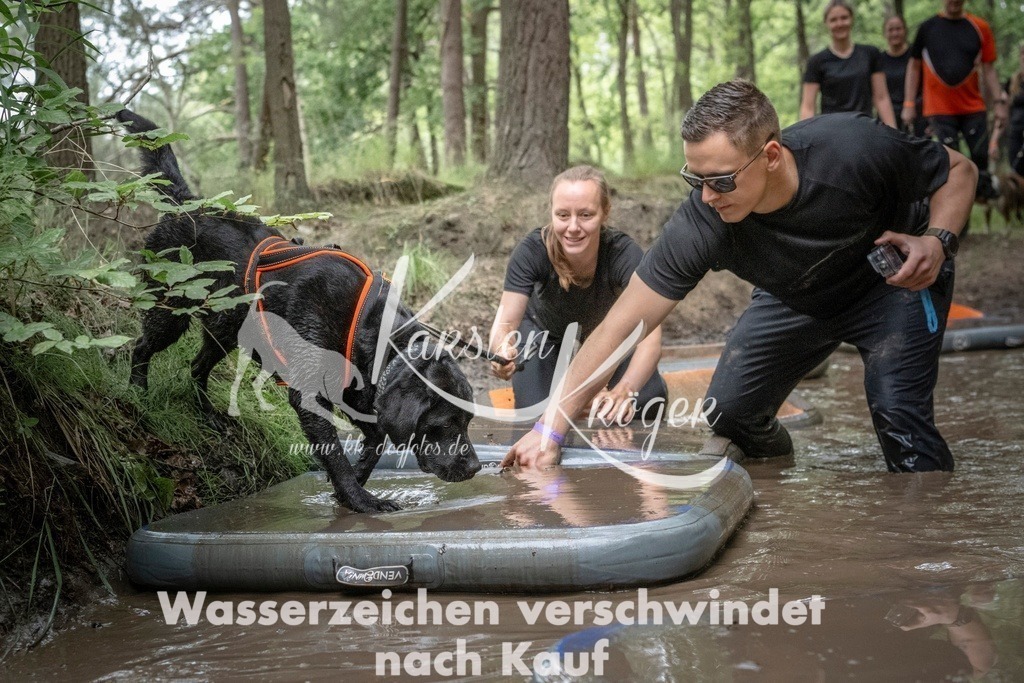 1201_ZZ96415T | kk-dogfotos