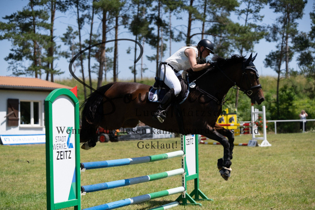 A7V06033 | Pferdefotograf