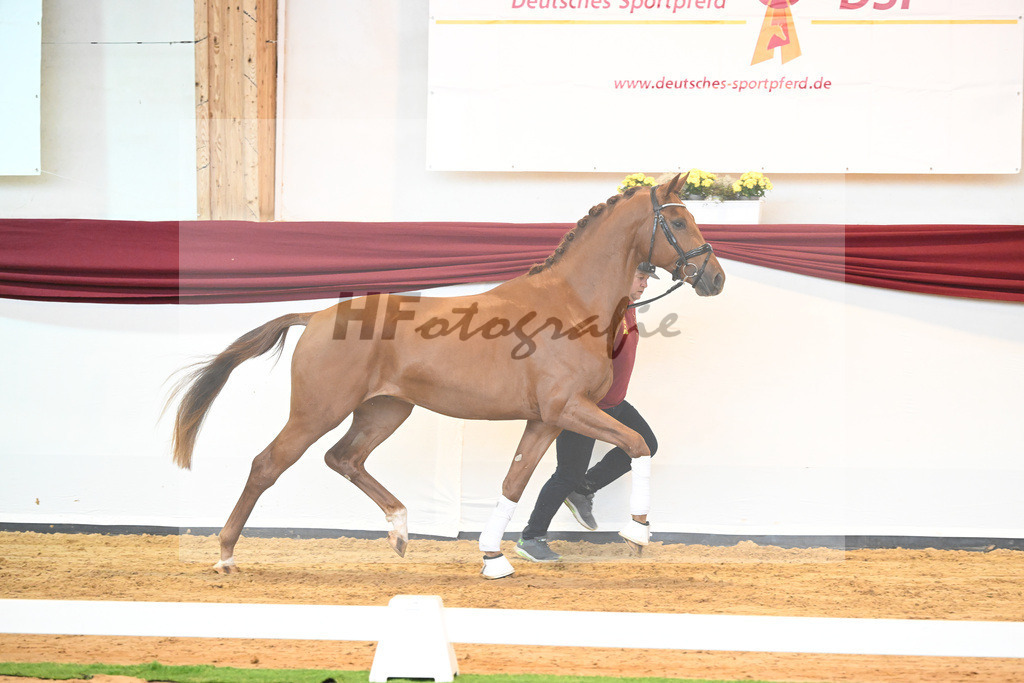 Kat-Nr. 28 v. Erdinger_Schuhmacher_66220781 | hf-fotografie - Realisiert mit Pictrs.com