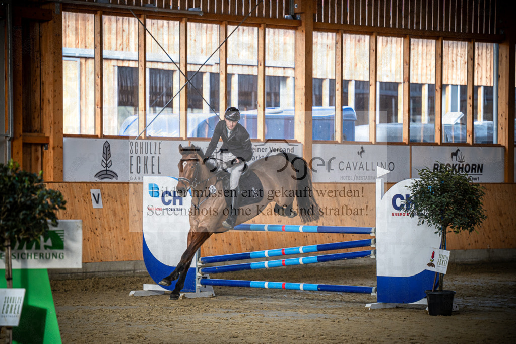 DOS_0618 | Entdecke hochwertige Reitturnierfotos von Foto Oger. Professionell, emotional und authentisch – jetzt Lieblingsmomente im Shop bestellen.Deutschlandweite Turnierfotografie. - Realisiert mit Pictrs.com