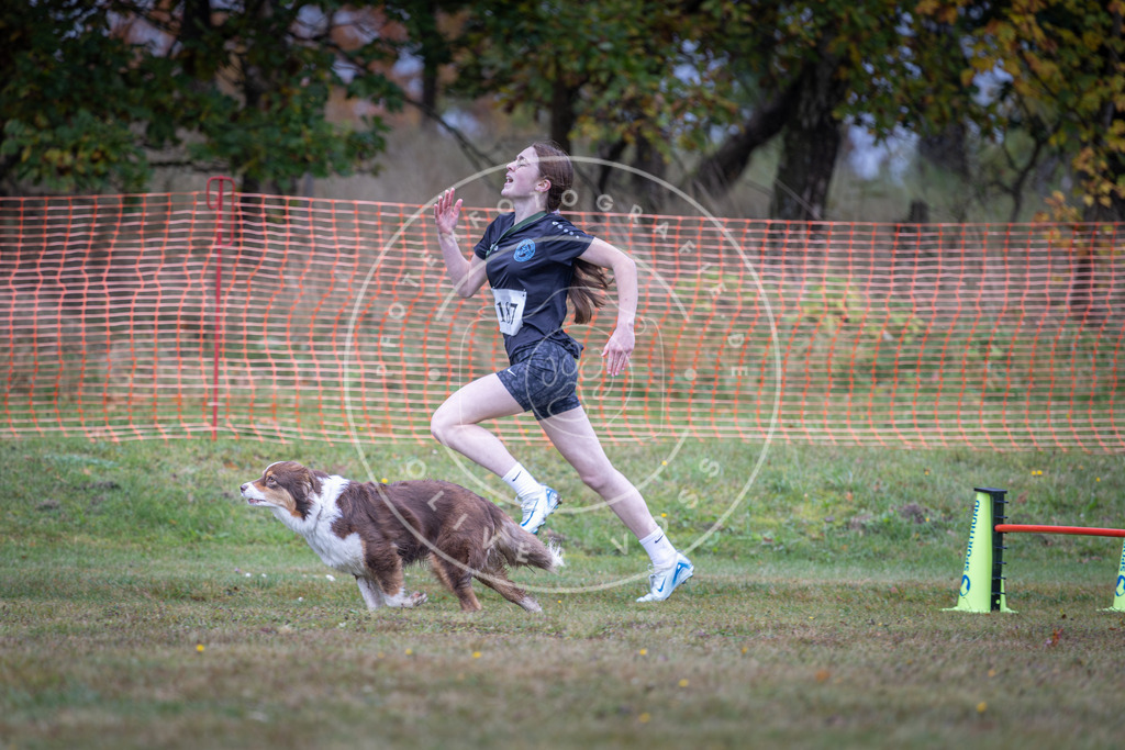 Pfotenfotografie_DV3A0499 | Hundefotografie, Tierfotograf, Pfotenfotografie, Fotoshooting Hund, Hunde Portrait, Hundesport, Hundeportraits, Heideshooting, Hunde, Sportfotograf, Hundefotograf, Turnierhundsport, THS,  - Realisiert mit Pictrs.com