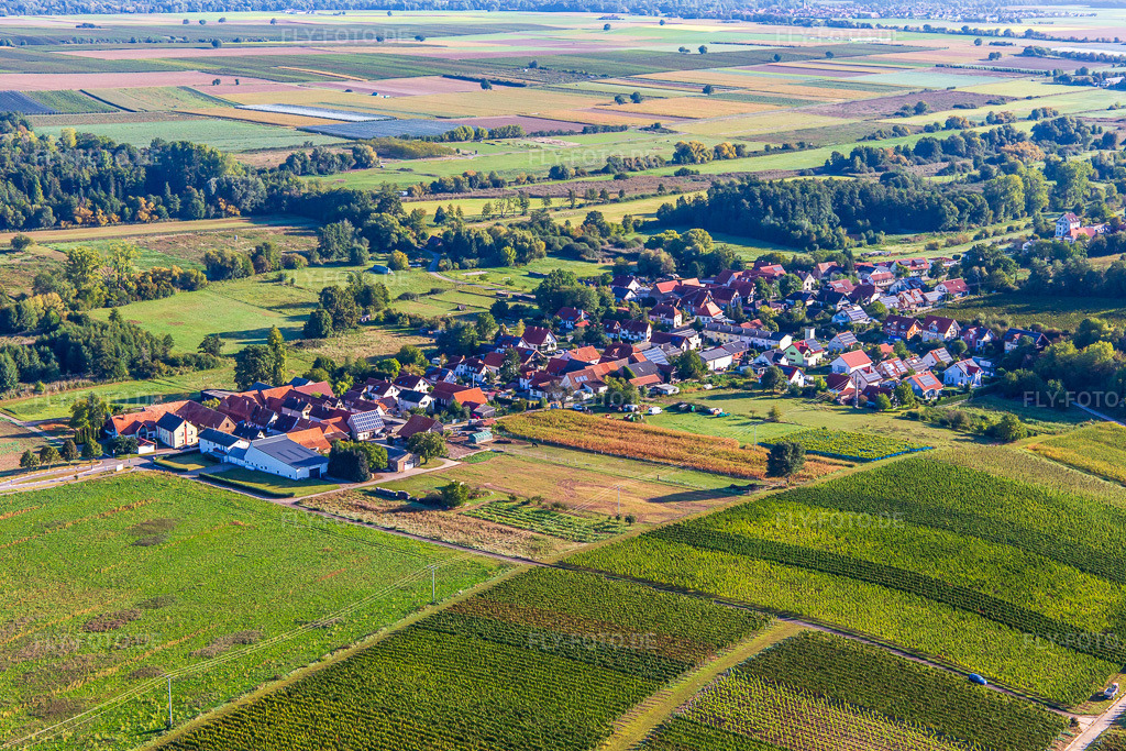 Luftbild: Ortsansicht von Südwesten in Hergersweiler im Bundesland Rheinland-Pfalz in Deutschland. Foto: IMG_138978.jpg vom 24.09.2023 durch Werner Riehm/FLY-FOTO.de
