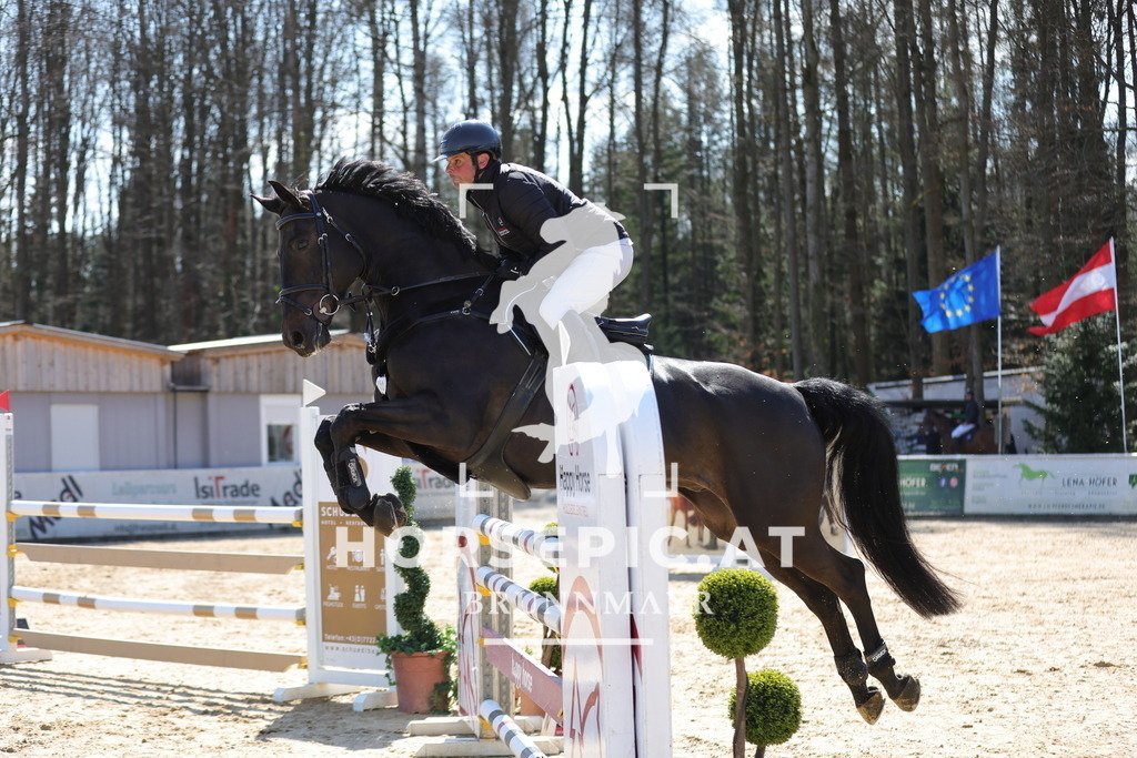 0P6A0385 | Willkommen bei Brunnmayr - Design & Fotografie – Ihrem Spezialisten für Reitturniere und Pferdeveranstaltungen in Oberösterreich, Salzburg und Bayern! Seit über 17 Jahren sind wir leidenschaftlich dabei.