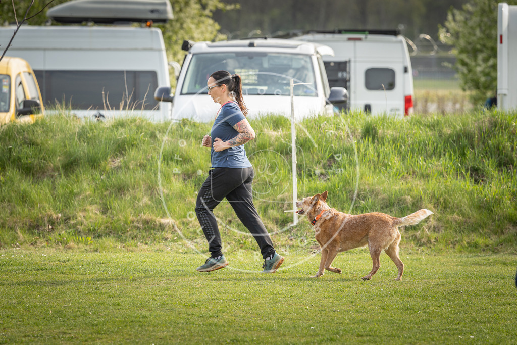 Pfotenfotografie_DV3A4983 | Hundefotografie, Tierfotograf, Pfotenfotografie, Fotoshooting Hund, Hunde Portrait, Hundesport, Hundeportraits, Heideshooting, Hunde, Sportfotograf, Hundefotograf, Turnierhundsport, THS,  - Realisiert mit Pictrs.com