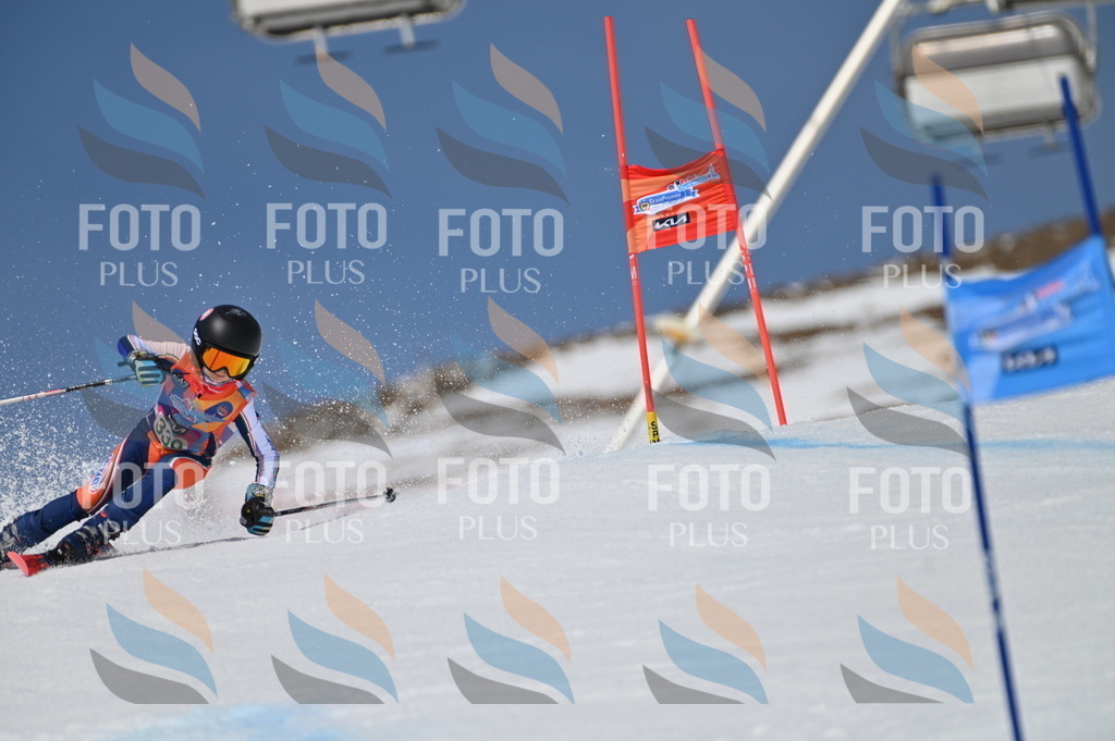 BGV_6710 | holidayphoto