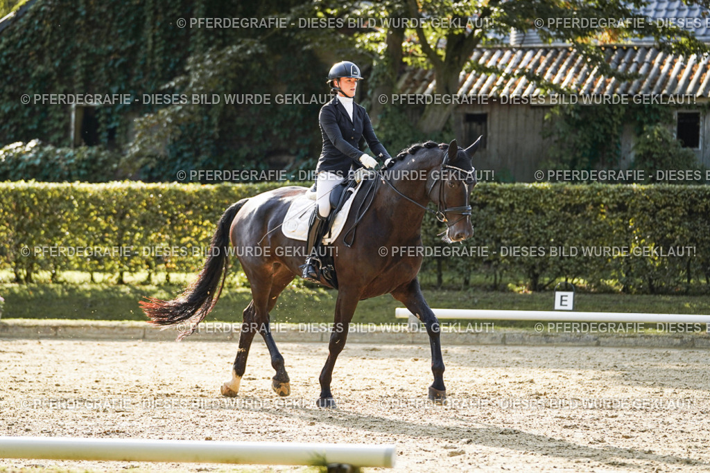 DSC05532 | Pferdegrafie