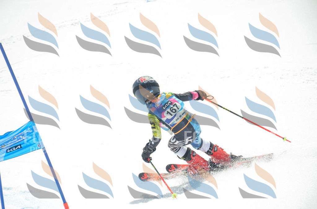 _ELE6515 | holidayphoto