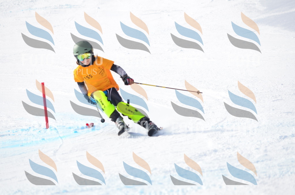 C7792 | holidayphoto