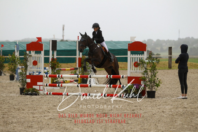 DKP47323 | Turniersportfotografie; Pferdefotografie; Dressurfotografie