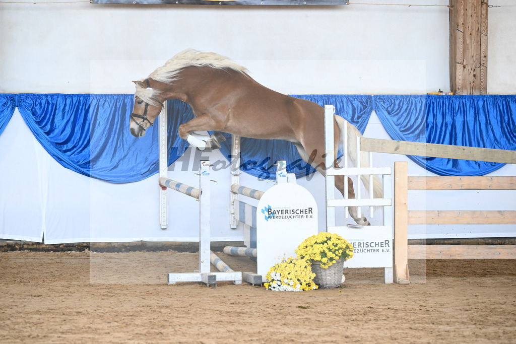 Kat-Nr. 5 Balios AW v. Bugatti_Wolf_48250130 | hf-fotografie - Realisiert mit Pictrs.com