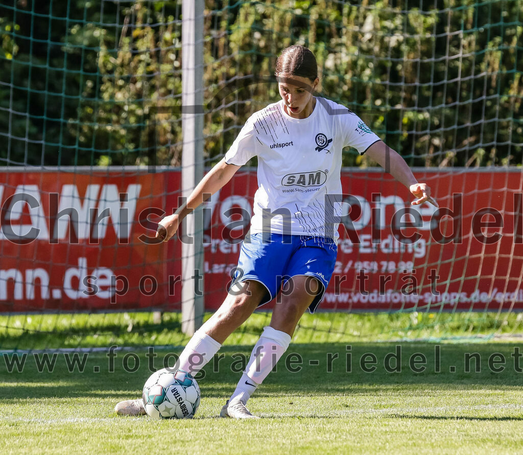 2023-09-16_017_FC_Forstern_gegen_VfL_Sindelfingen_Ladies_I | Forstern, Deutschland, 16.09.2023:
Fußball, B-Juniorinnen-Bundesliga Süd 2023 / 2024, 2. Spieltag, FC Forstern gegen VfL Sindelfingen Ladies I, Endergebnis: 4:1

Johanna Buck (VfL Sindelfingen Ladies I, #23)

Foto: Christian Riedel / fotografie-riedel.net