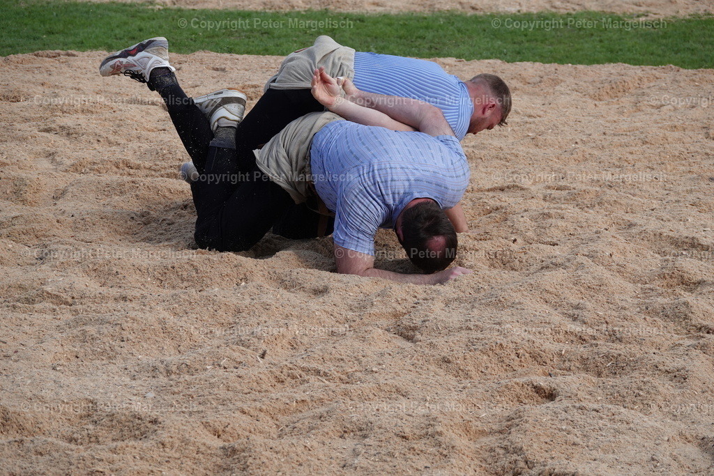 DSC01995 | Schwingen - Realisiert mit Pictrs.com