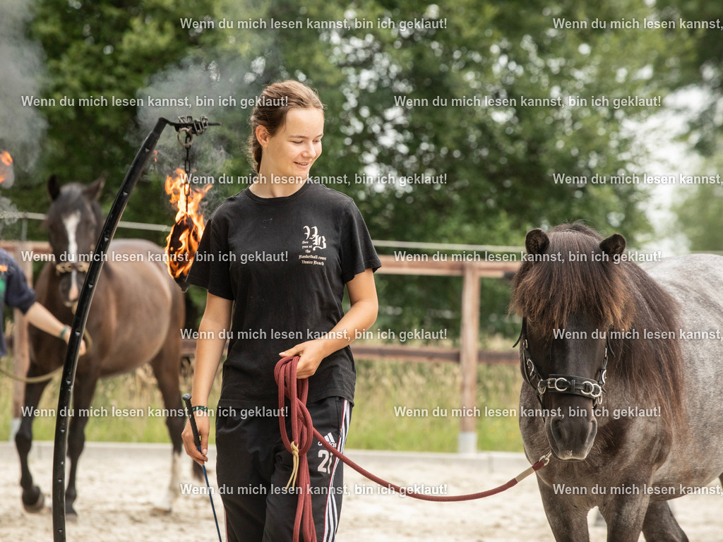 598A6383 | photographylinaismer - Realisiert mit Pictrs.com