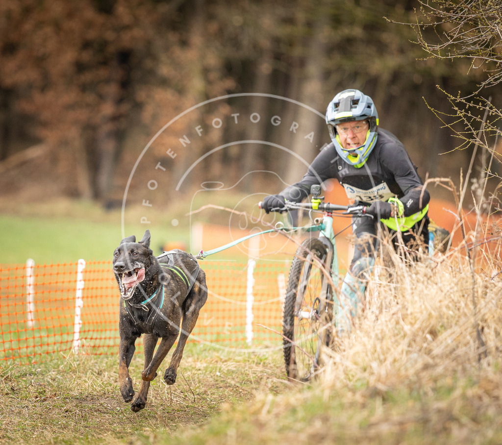 DV3A1468 | Hundefotografie, Tierfotograf, Pfotenfotografie, Fotoshooting Hund, Hunde Portrait, Hundesport, Hundeportraits, Heideshooting, Hunde, Sportfotograf, Hundefotograf, Turnierhundsport, THS,  - Realisiert mit Pictrs.com