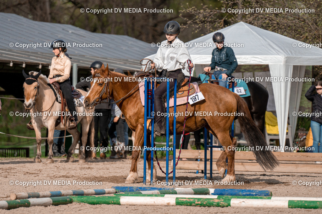 BAL02862 | dv-media-shop - Realisiert mit Pictrs.com