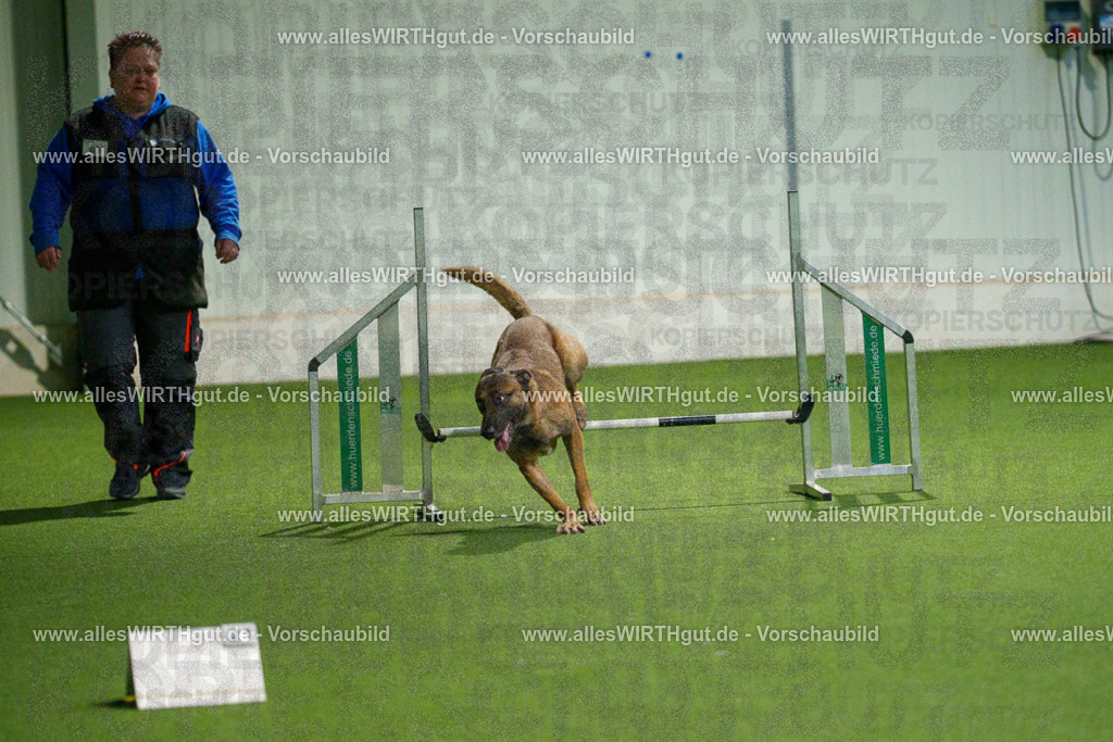 7R507502 | Professionelle Tierfotografie in Mönchengladbach von Daniel Wirth (allesWIRTHgut). Liebevolle & natürliche Bilder von Hunden & Katzen für unvergessliche Erinnerungen.