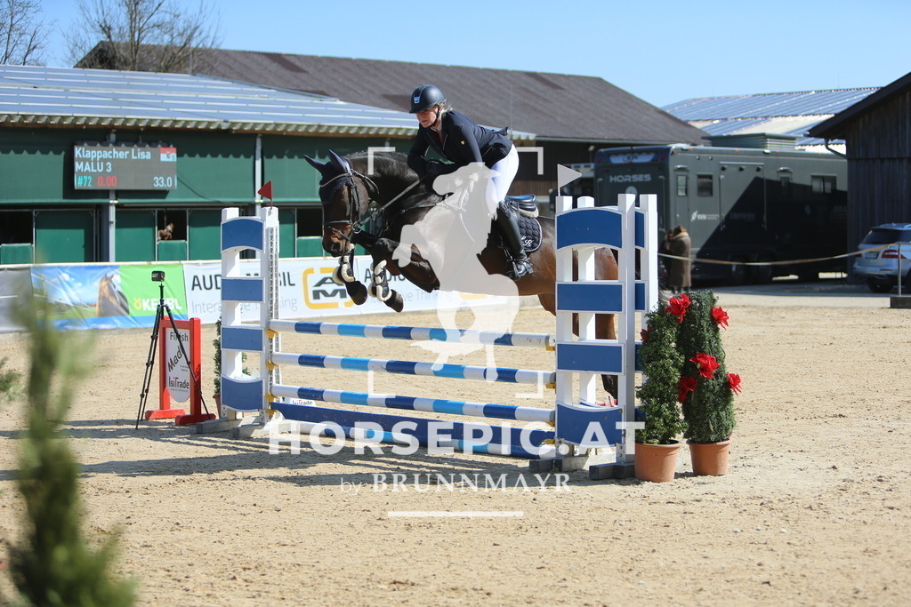 DL2Q8443 | Willkommen bei Brunnmayr - Design & Fotografie – Ihrem Spezialisten für Reitturniere und Pferdeveranstaltungen in Oberösterreich, Salzburg und Bayern! Seit über 17 Jahren sind wir leidenschaftlich dabei.