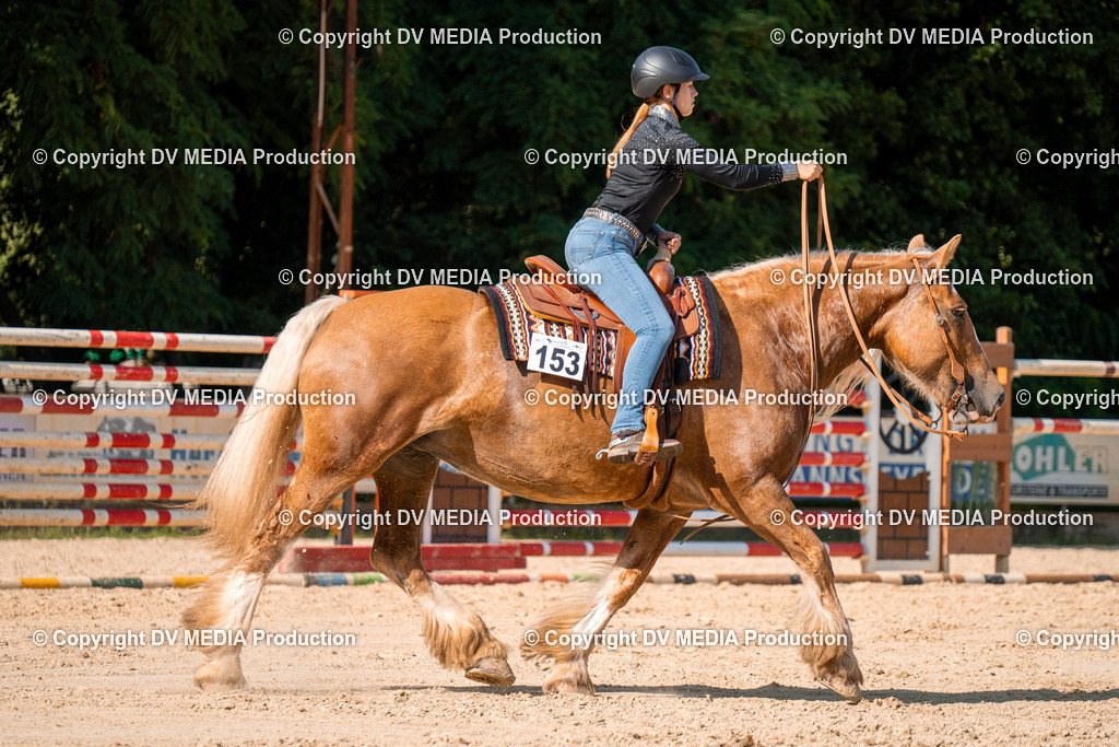 ZH100746 | dv-media-shop - Realisiert mit Pictrs.com