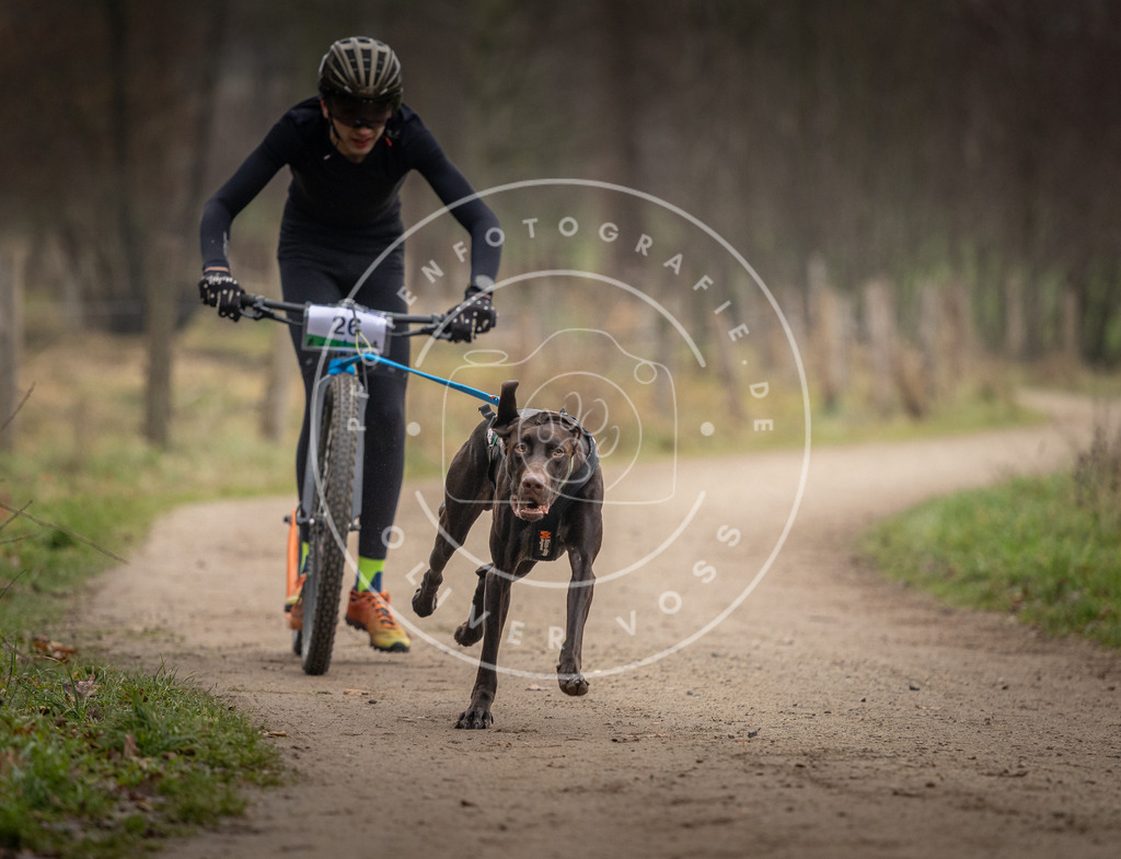 Pfotenfotografie_DV3A2127 | Hundefotografie, Tierfotograf, Pfotenfotografie, Fotoshooting Hund, Hunde Portrait, Hundesport, Hundeportraits, Heideshooting, Hunde, Sportfotograf, Hundefotograf, Turnierhundsport, THS,  - Realisiert mit Pictrs.com