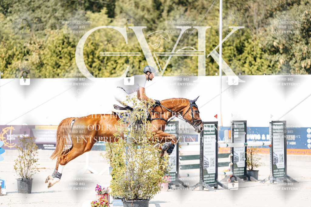 CK901281 | Turnierfotografie Pferdefotografie Trier Rheinland-Pfalz Pferdesport Reitsport Tierfotografie Sportfotografie Pferdevideo Pferdevideografie Equestrianvideography equestrianphotography  - Realisiert mit Pictrs.com