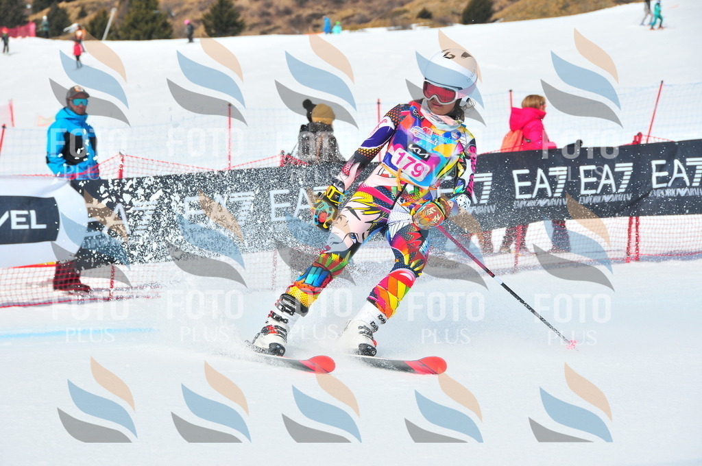 DSC_5346 | holidayphoto