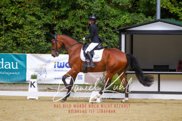 DKP40753 | Turniersportfotografie; Pferdefotografie; Dressurfotografie